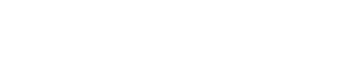 SlotsWise Logo
