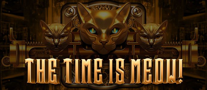 The Time Is Meow Banner